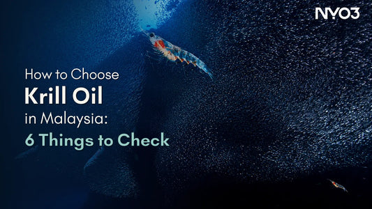 How to Choose Krill Oil in Malaysia: 6 Things to Check