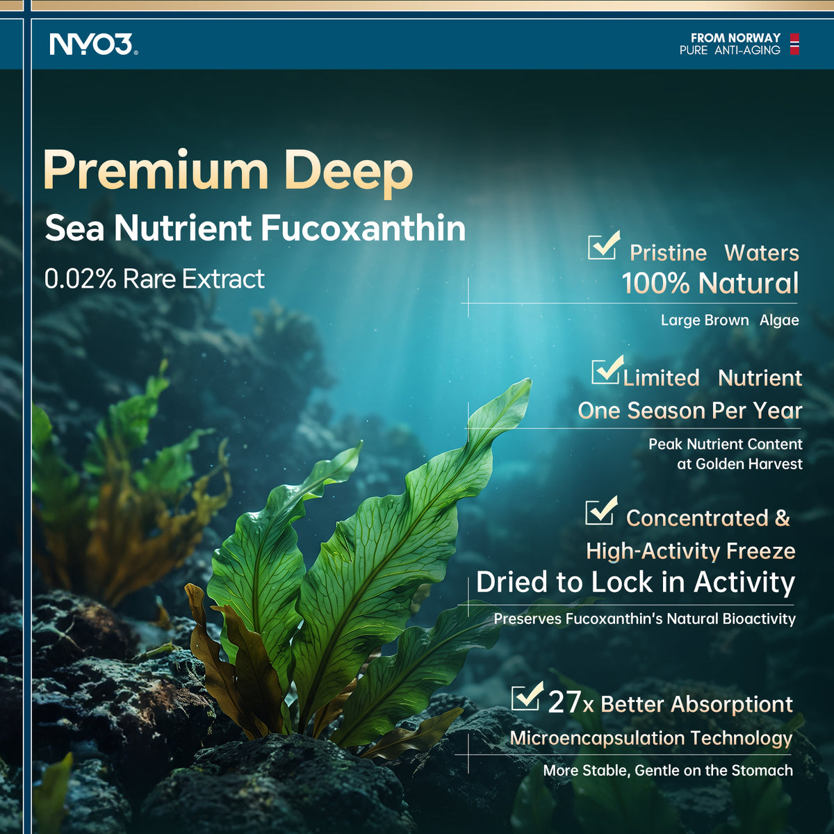 NYO3® Efficient Fucoxanthin Liver Metabolism Support – 60 Softgels