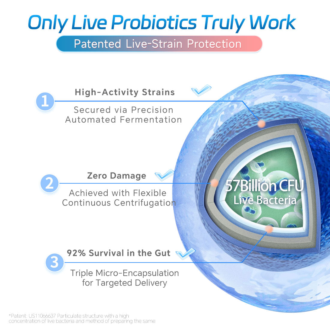 NYO3® Daily Digestive Probiotic Capsules