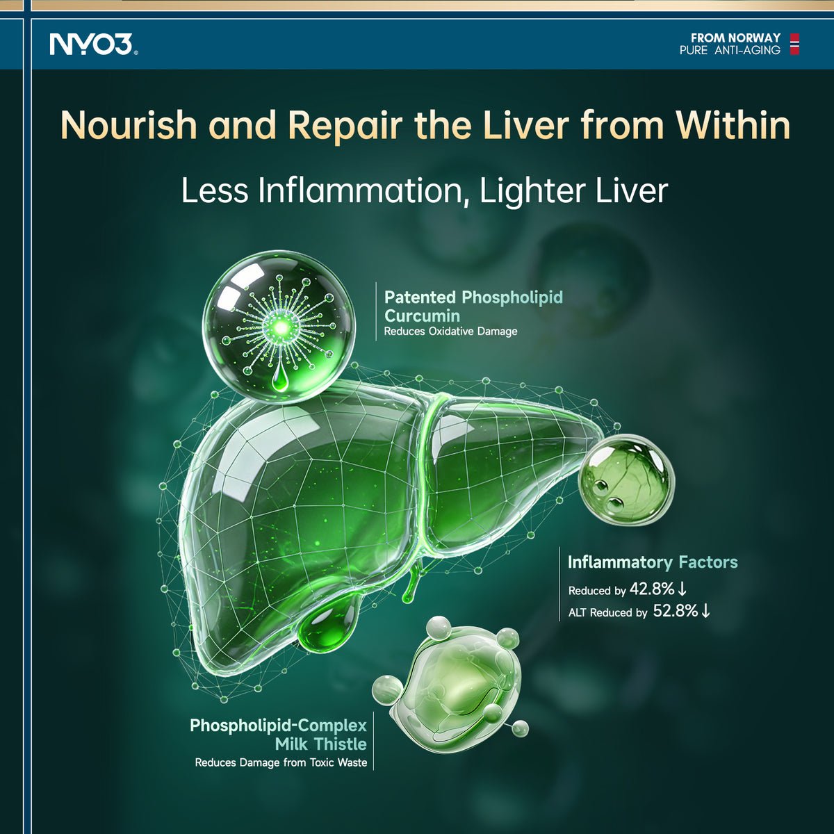 NYO3® Efficient Fucoxanthin Liver Metabolism Support – 60 Softgels